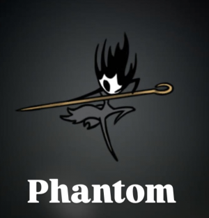 Img1527 — Hollow Knight : Silksong bossfight option 37