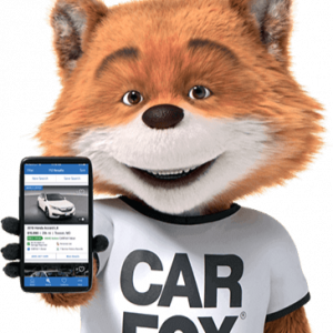 Zzzzz 1752550802carfox — Product/Brand Mascot Tier List option 78