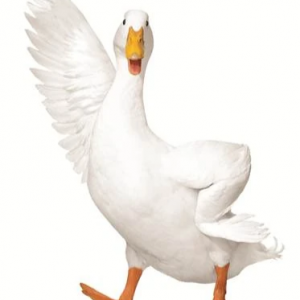 Zzzzz 1763356661aflac — Product/Brand Mascot Tier List option 88