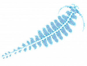 Zzzzz 1765410812gossamer Worm — Minecraft Mobs including Mods option 561