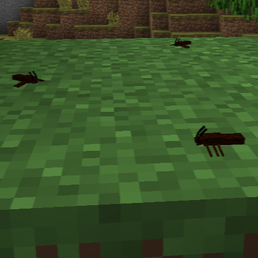 Zzzzz 1768962060cockroach — Minecraft Mobs including Mods option 1033