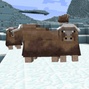 Zzzzz 1768962061musk Ox — Minecraft Mobs including Mods option 1056