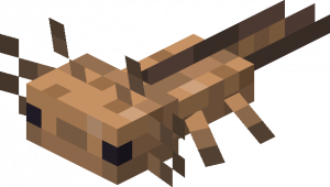 Zzzzz 1786081940babywildaxolotlje3be3 — Minecraft Mobs including Mods option 8