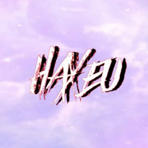 Hax — ASA SOTF PLAYERS option 11