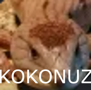 Kokonuz — ASA SOTF PLAYERS option 17