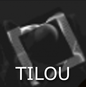 Tilou — ASA SOTF PLAYERS option 30