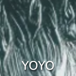 Yoyo — ASA SOTF PLAYERS option 33