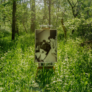 Zzzzz 1705003573arboretum — Magnificent Album Compilation option 66