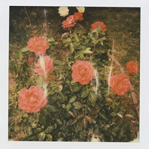 Zzzzz 1715951498chapter 2 — Magnificent Album Compilation option 169
