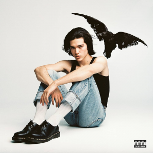 Zzzzz 1715951499kid Krow — Magnificent Album Compilation option 435