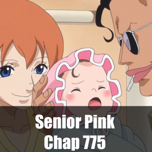 Zzzzz 171604830422 Senior — Ultimate One Piece Flashback Tier List option 22