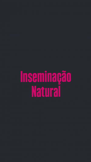 Img20250317215237512 — Ranking de termos pra atos reprodutivos option 39