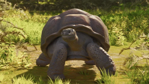 Zzzzz 1787229994eyjidwnrzxqioijmcm9udgllci1wbgf0zm9ybs1ob3n0aw5niiwia2v5ijoid2vic2l0zxmvcgxhbmv0lxpvby0yl2fuaw1hbhmvzdk5mzy0mmevvg9ydg9pc2vfr2fsyxbhz29zr2lhbnquanbniiwizwrpdhmionsid2vicci6eyjxdwfsaxr5ijo4nx0sinrvrm9ybwf0ijoid2vicci — Planet Zoo 2 Animals option 47