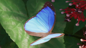 Zzzzz 1788877017eyjidwnrzxqioijmcm9udgllci1wbgf0zm9ybs1ob3n0aw5niiwia2v5ijoid2vic2l0zxmvcgxhbmv0lxpvby0yl2fuaw1hbhmvnzmyzte3ztkvqnv0dgvyzmx5x01lbmvsyxvzqmx1zu1vcnboby5qcgcilcjlzgl0cyi6eyj3zwjwijp7inf1ywxpdhkiojg1fswidg9gb3jtyxqioij — Planet Zoo 2 Animals option 86
