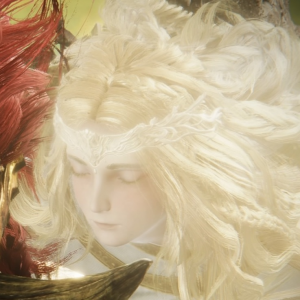 Elden ring Gods/Demigods — option 15