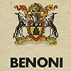 Benoni Defense — Chess Openings Ranking option 17