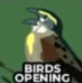 Bird — Chess Openings Ranking option 19
