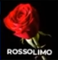Rossolimo — Chess Openings Ranking option 67