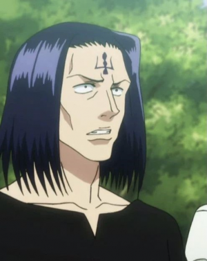 Bara — HUNTER X HUNTER Strongest Characters Ranking option 3