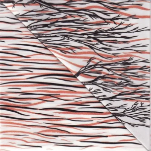 Zzzzz 1737716635mount Eerie White Stag Cover Art — Альбоми, які я хочу послухати option 1494