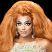 ALL THE QUEENS OF RUPAUL`S DRAG RACE — option 208