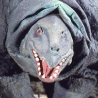 Zzzzz 1701300025eledortus Return Of Ultraman — Ultraman - Ultras, Kaiju, and Aliens option 151