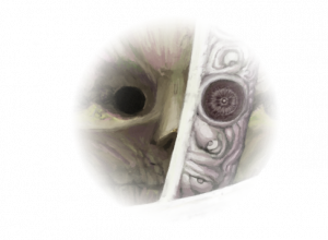 Rher1 — Enemy Tier List Fear & Hunger Termina Patch 1.9.1 option 65