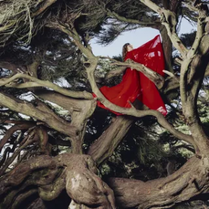 Hannah Frances Nestled In Tangles — 2025 Autumn Albums Ranked! option 13