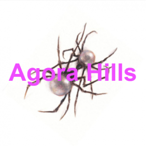 Agora Hills — Billboard's Top 40 of 2024 option 2