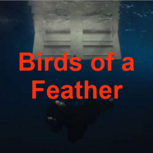 Birds Of A Feather — Billboard's Top 40 of 2024 option 6