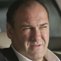 2f701806c00f4eccaf96d1c06f5c2d58 — Sopranos extensive character tierlist option 17