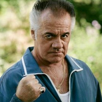 C95fd2d5399a4da4b02752633aacc9bd — Sopranos extensive character tierlist option 64
