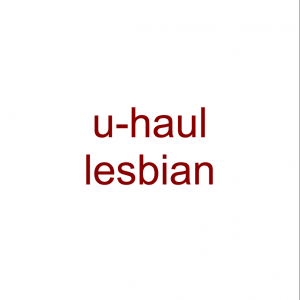 Screen Shot 2024 12 08 At 80651 Pm — lesbian stereotypes option 27