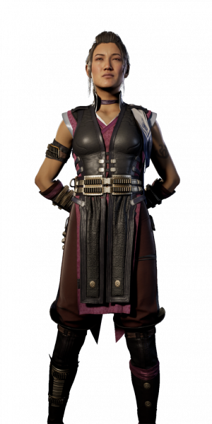 Zzzzz 1716840991li Ne — Mortal 1 Kombat All Skins option 91