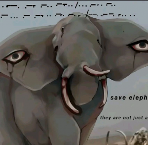 Zzzzz 1790198207elephant — The Blue Eyes Infection option 38