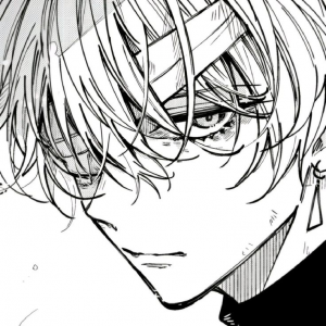 Zzzzz 1769460502014 — RENAISSANCE - MHA RP option 117