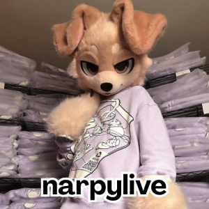 Tiktok/Instagram femboys — option 14