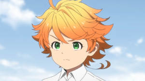 Emma29 — smart char rank option 42