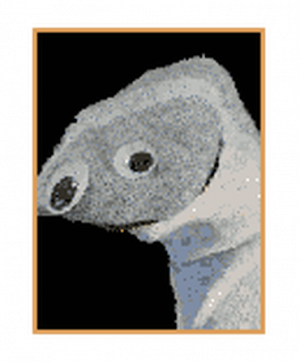 Zzzzz 1787160330static Assets Upload17729225539178913975 — Pibby Nyctophobia survivors (Up to Act 1) option 46