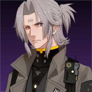 Zzzzz 1705331907 6920240115215027 — Punishing: Gray Raven Character Template - All option 47