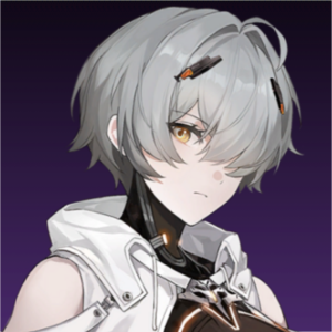 Zzzzz 1731248839 4120241110212408 — Punishing: Gray Raven Character Template - All option 65