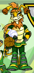 103n — Smash or Pass Neopet Characters option 4