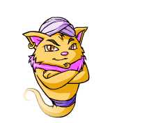 130n — Smash or Pass Neopet Characters option 34
