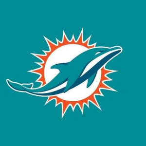 Img3837 — NFL team Tier list option 7