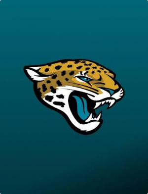 Img3839 — NFL team Tier list option 9
