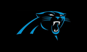 Img3895 — NFL team Tier list option 27