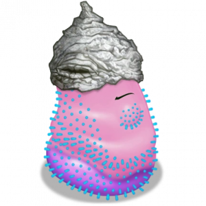 Zzzzz 1721869129rareyelmut — My Singing Monsters (Rare Monsters Only) option 54