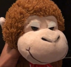 Img9345 — Plushroom Kingdom Total drama characters option 39