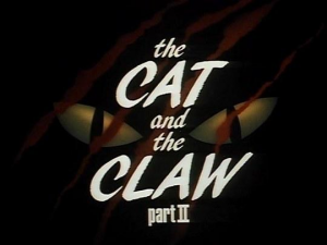 BTAS + TNBA Episodes (Parts Separated) — option 15