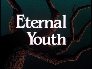 BTAS + TNBA Episodes (Parts Separated) — option 29